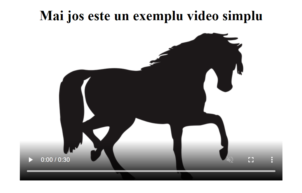 exemplu video