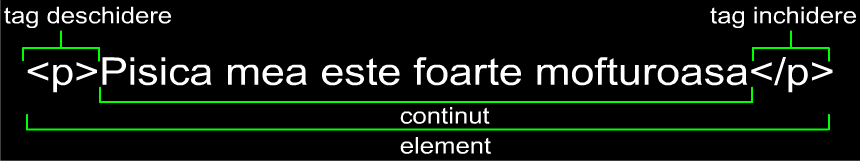 anatomie element html