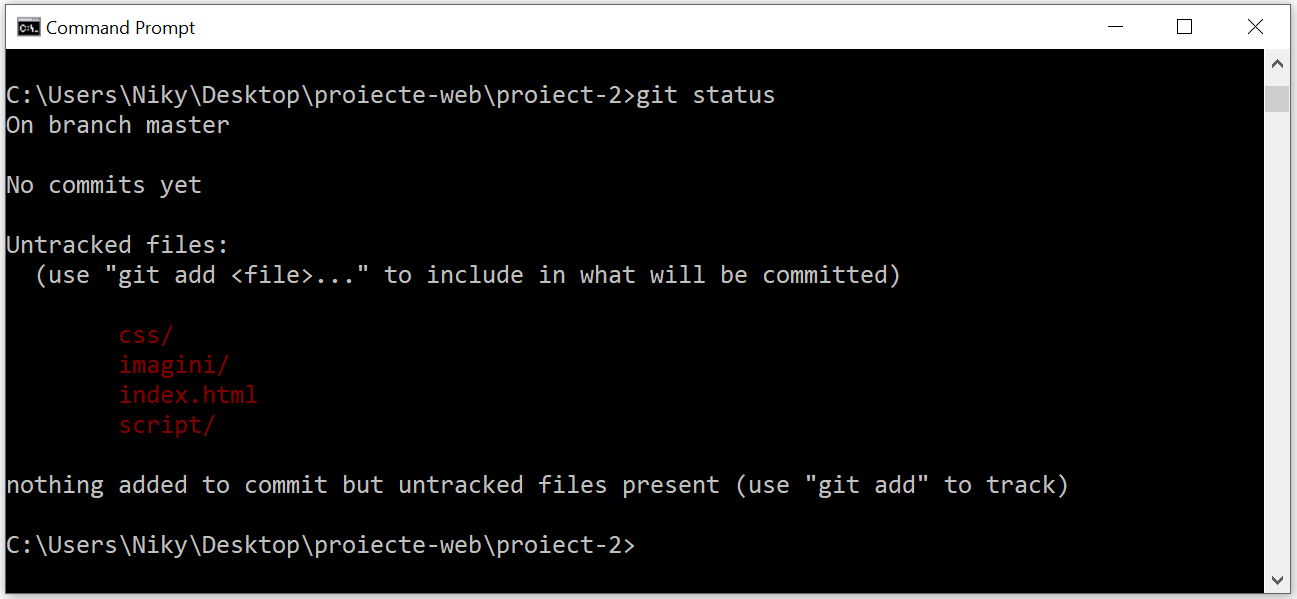 check project status